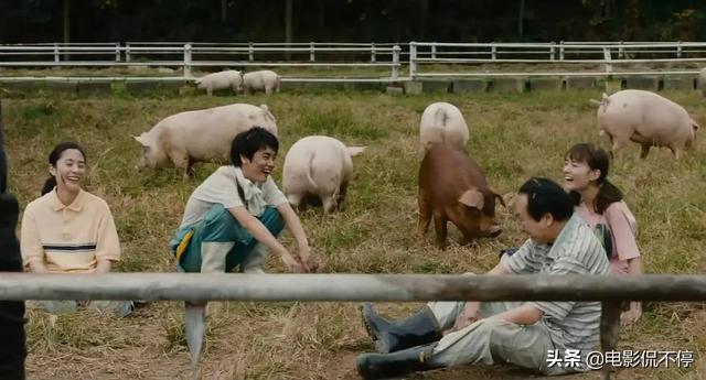 手机POS机：停电、赶猪、吃野菜，男主角巴不得天天宅在家